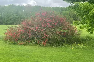 722 Farmington Rd, Strong, ME 04983 - Photo 24