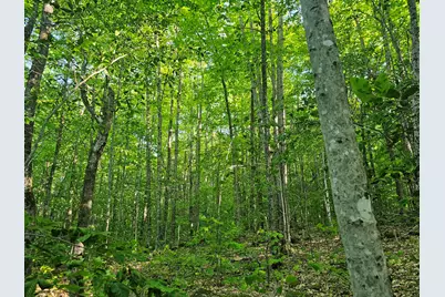 Po M23-L6 Great Moose Drive, Hartland, ME 04943 - Photo 6