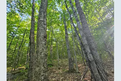 Pl5,6,9,10 Great Moose Drive, Hartland, ME 04493 - Photo 8