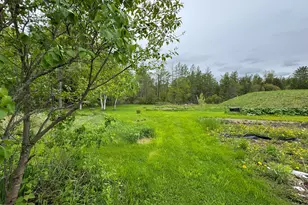 41 S Main St, Guilford, ME 04443 - Photo 56