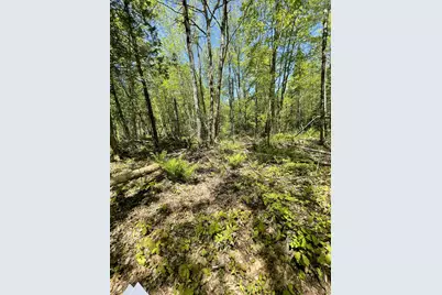 M 8 L 16 Fowles Road, Searsmont, ME 04973 - Photo 6