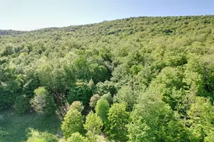 233 Weld Rd, Phillips, ME 04966 - Photo 38