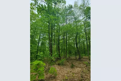 233 Weld Road, Phillips, ME 04966 - Photo 34