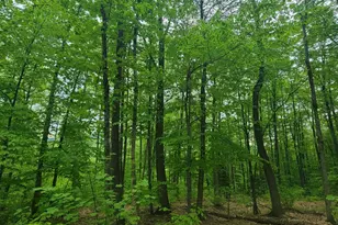 233 Weld Rd, Phillips, ME 04966 - Photo 34