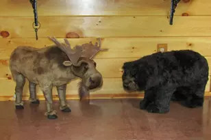 37 Loon Dr, Newport, ME 04953 - Photo 32