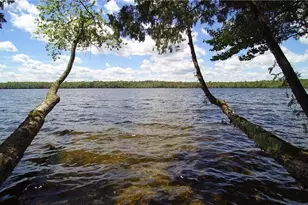 37 Loon Dr, Newport, ME 04953 - Photo 10