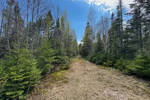 M2L3-M6L16 Campbell Rd, Whiting, ME 04691 - Photo 20