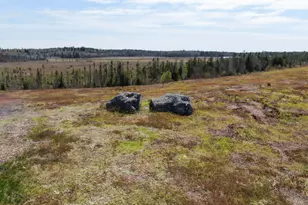 M2L3-M6L16 Campbell Rd, Whiting, ME 04691 - Photo 14