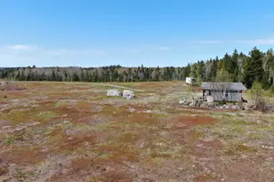 M2L3-M6L16 Campbell Rd, Whiting, ME 04691 - Photo 4