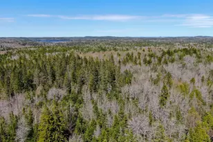 M2L3-M6L16 Campbell Rd, Whiting, ME 04691 - Photo 8