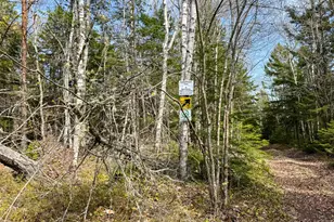 M2L3-M6L16 Campbell Rd, Whiting, ME 04691 - Photo 18