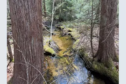 0 Map 7/1 Ebens Trail, Orland, ME 04472 - Photo 8