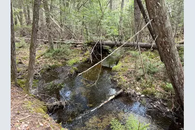 0 Map 7/2 Ebens Trail, Orland, ME 04472 - Photo 12