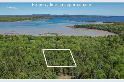 Lot #10 North Road, Lamoine, ME 04605 - Photo 6