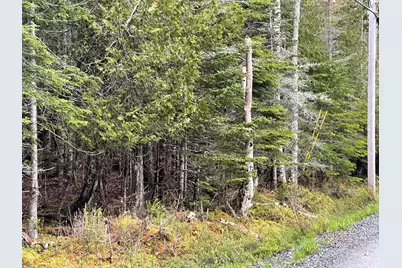 Lot #10 North Road, Lamoine, ME 04605 - Photo 10