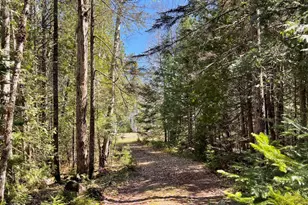 20 Chase Brook Dr, Alexander, ME 04694 - Photo 36