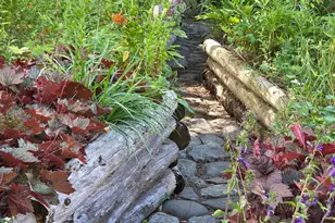 1125 Macomber Mill Rd, Eastbrook, ME 04634 - Photo 66