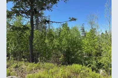 Lot 4 Mt. Jefferson Heights, Lee, ME 04455 - Photo 2