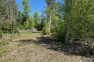 Lot 2 Mt Jefferson Heights, Lee, ME 04455 - Photo 1