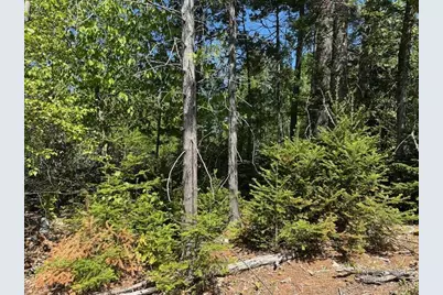Lot 3 Mt. Jefferson Heights, Lee, ME 04455 - Photo 2