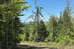 Lot 10 Mt Jefferson Heights, Lee, ME 04455 - Photo 1