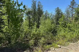 Lot 12 Mt Jefferson Heights, Lee, ME 04455 - Photo 1