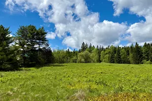 149 Old Eastport Rd, Perry, ME 04667 - Photo 22