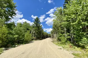 50 Green Ln, Charlotte, ME 04666 - Photo 68