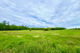 30 Joan Dixon Wy, Buxton, ME 04093 - Photo 1