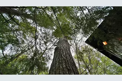 101 S South Shore Road, Linneus, ME 04730 - Photo 58