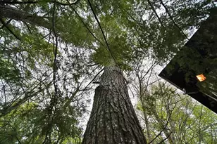 101 S South Shore Rd, Linneus, ME 04730 - Photo 58