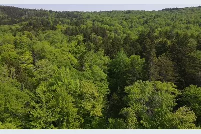 Lot 1 Scammon Road, Greenville, ME 04441 - Photo 8