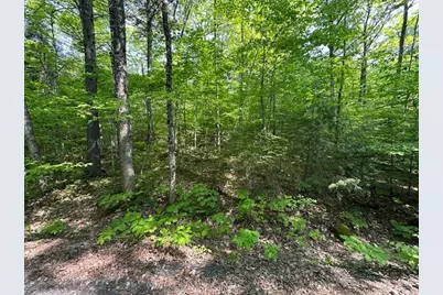 Lot 1 Scammon Road, Greenville, ME 04441 - Photo 10