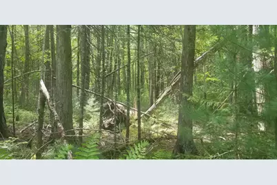 M13, L36, Harland Cunningham Road, Penobscot, ME 04476 - Photo 10