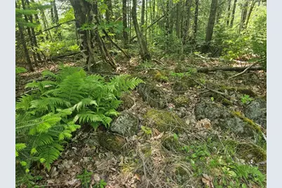 2016 2016 Hudson Road, Hudson, ME 04449 - Photo 32