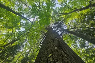 2016 2016 Hudson Rd, Hudson, ME 04449 - Photo 1