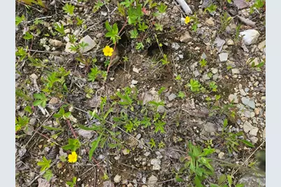 2016 2016 Hudson Road, Hudson, ME 04449 - Photo 10