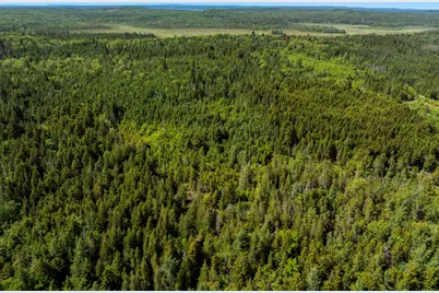 Map 1 Lot 9 Cutler Road, Whiting, ME 04691 - Photo 12