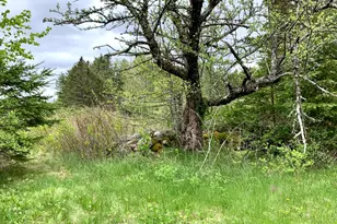 191 Route 191 N Rte, Cathance Twp, ME 04630 - Photo 8