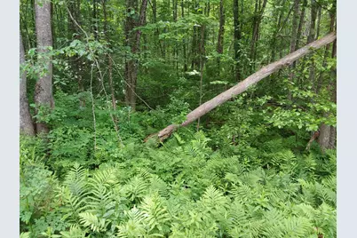 M19-L16-1 Augsuta Road, Jefferson, ME 04348 - Photo 2