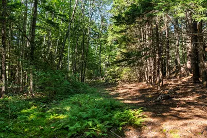 Lot 2B Allen Point Road, Harpswell, ME 04079 - Photo 6