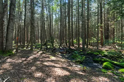 Lot 2B Allen Point Road, Harpswell, ME 04079 - Photo 4