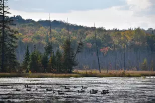 54 Carver Rd, Milo, ME 04463 - Photo 82