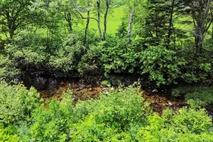 43 Brookside Ln, Freeman Twp, ME 04983 - Photo 16