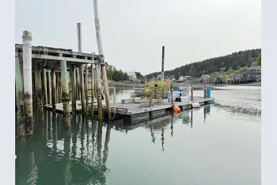 65 East Shore Road, Frenchboro, ME 04635 - Photo 2