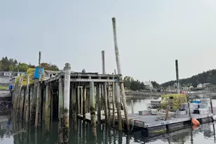 65 E Shore Rd, Frenchboro, ME 04635 - Photo 38