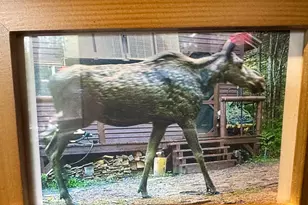 Lot 1 Off Bear Brook Rd, T25 Md Bpp, ME 04686 - Photo 16