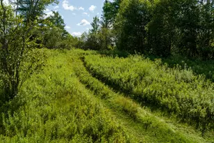 841 Cutler Rd, Machiasport, ME 04655 - Photo 156