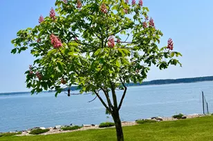 463 Seawall Rd, Southwest Harbor, ME 04679 - Photo 80