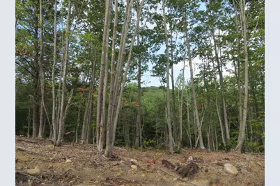 6.46 End McAllister Road, Buckfield, ME 04220 - Photo 10